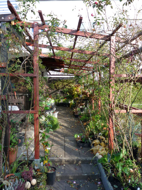  - 2019 - 03 - Toamna