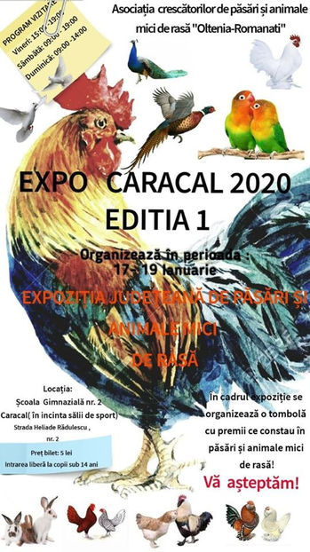 Expo Caracal 2020 - Expo Caracal 2020