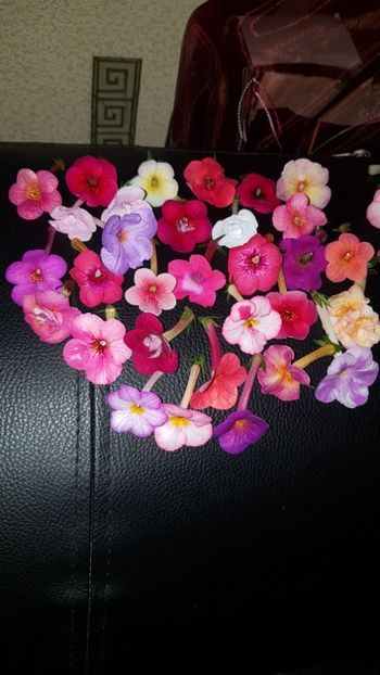 IMG-20190919-WA0009 - 0 Achimenes 2019