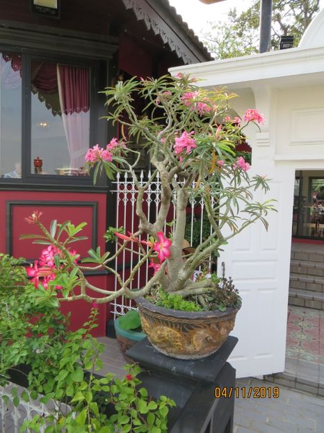  - 1 Bangkok