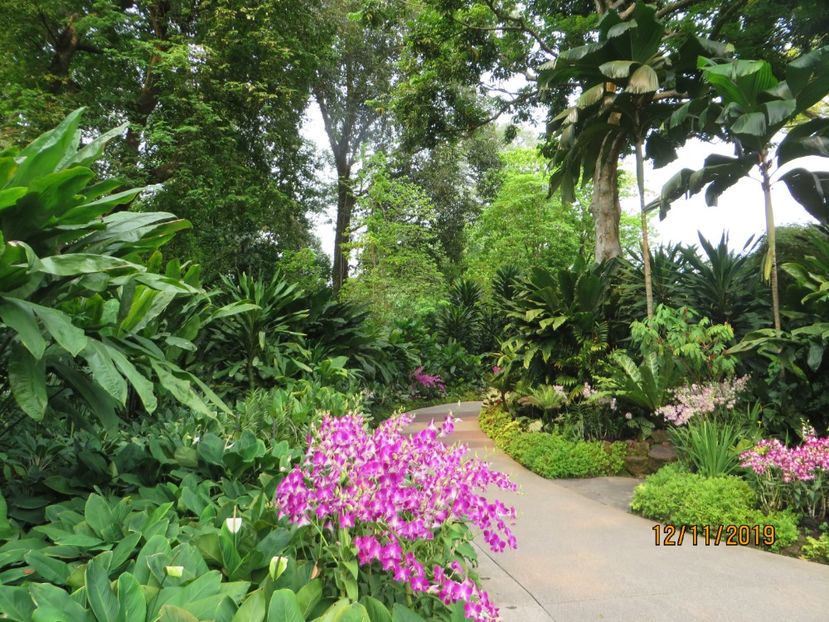  - 6 Singapore 1