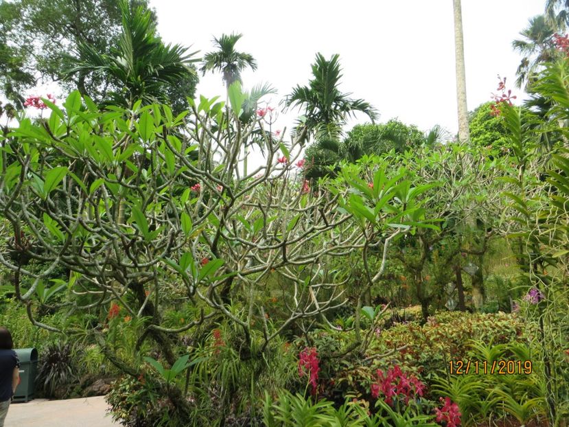  - 6 Singapore 1