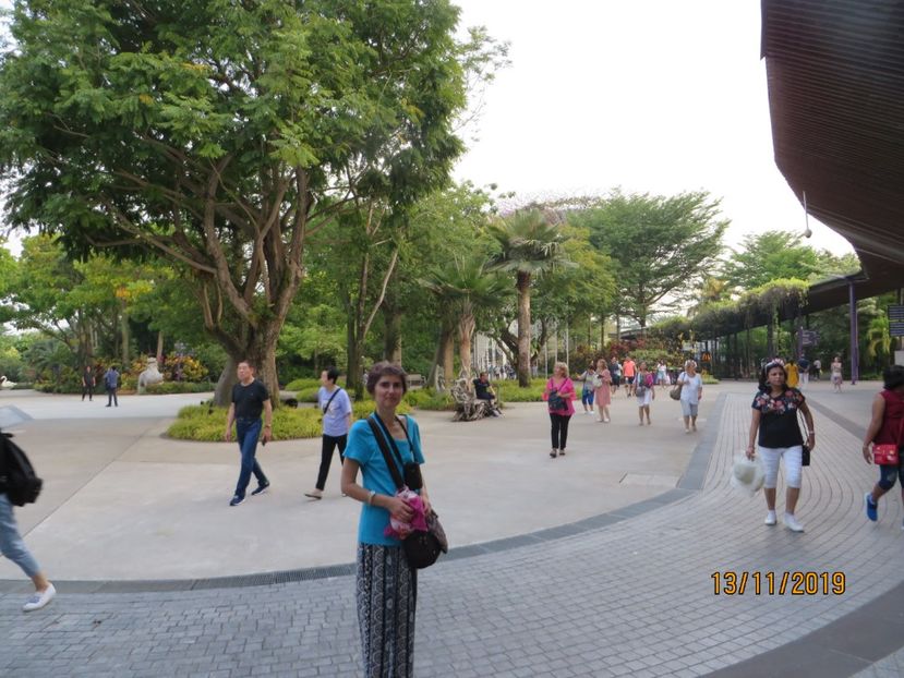  - 7 Singapore 2