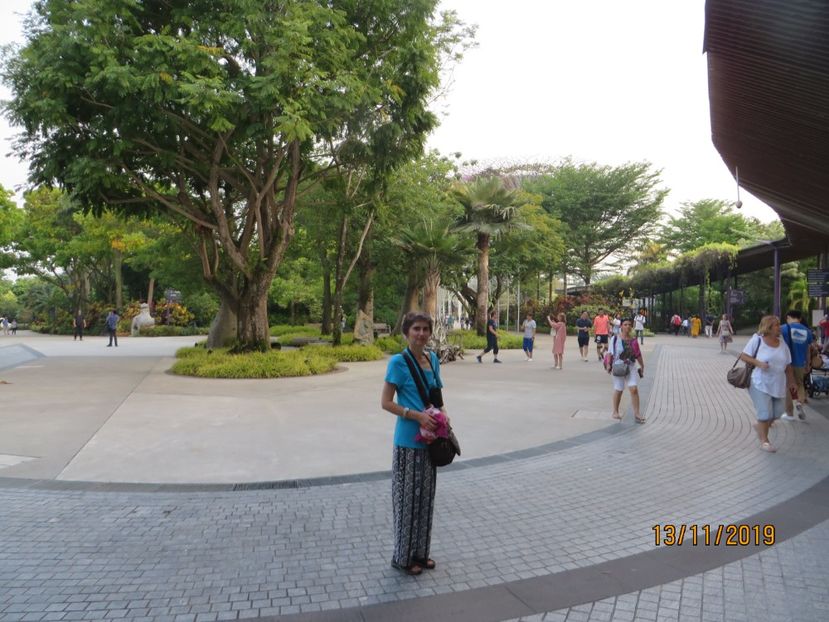  - 7 Singapore 2