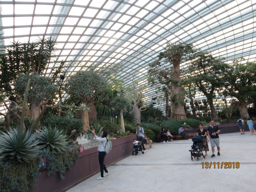  - 7 Singapore 2