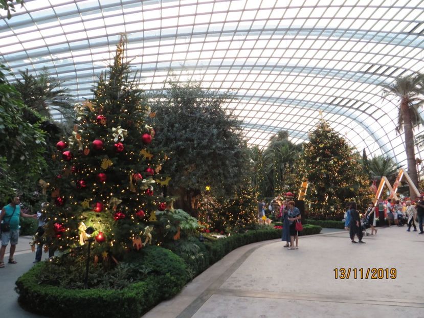  - 7 Singapore 2
