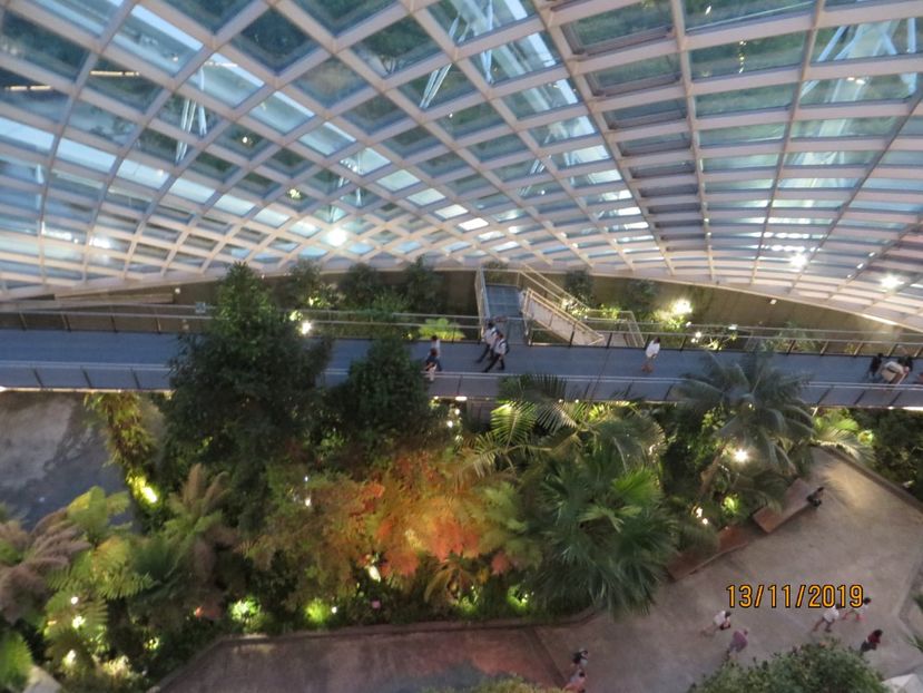  - 7 Singapore 2