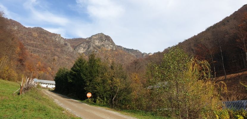  - Cāciulata 2019