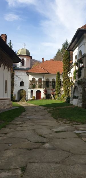  - Cāciulata 2019