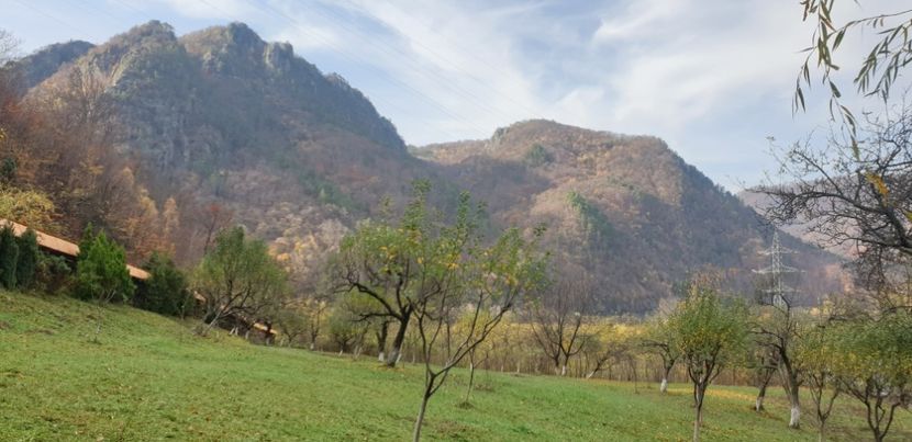  - Cāciulata 2019