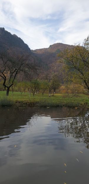  - Cāciulata 2019