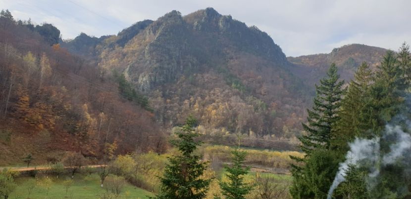  - Cāciulata 2019