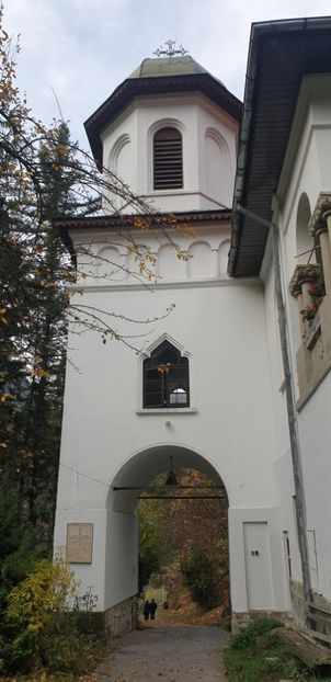  - Cāciulata 2019