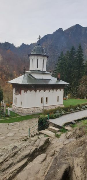  - Cāciulata 2019