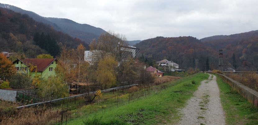  - Cāciulata 2019