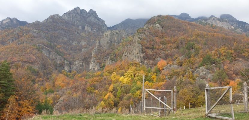  - Cāciulata 2019