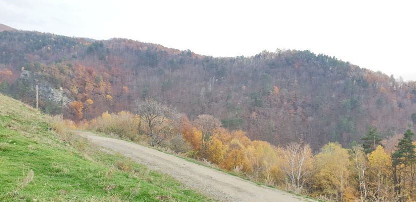  - Cāciulata 2019