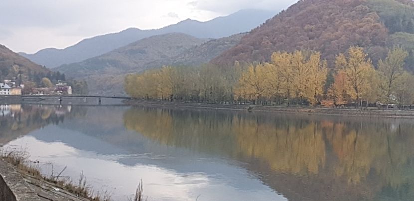  - Cāciulata 2019