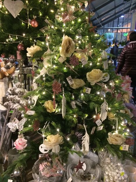 16.11.2019 - Serbarea Luminii