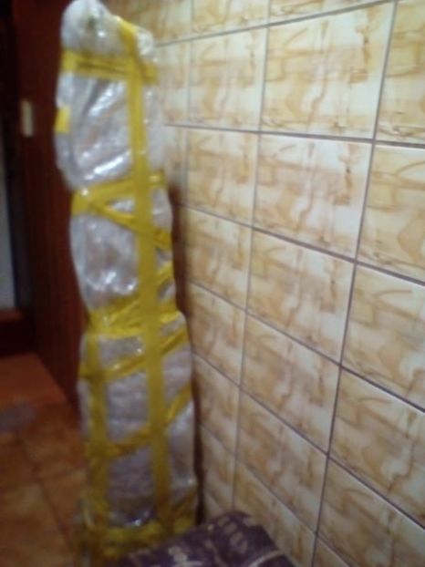  - w Produse livrate