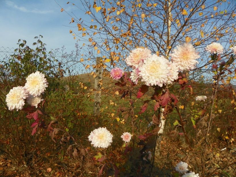 tufanele - Dobarland 2019 4