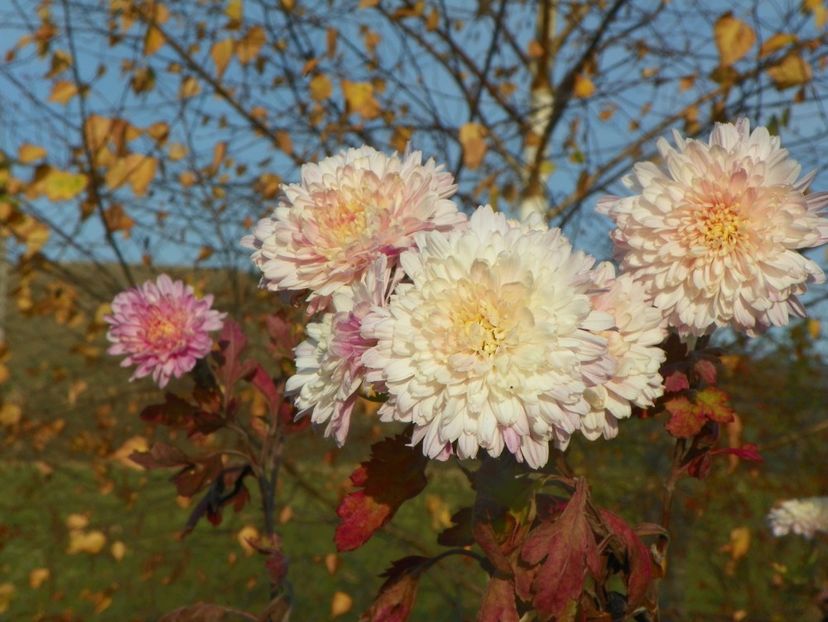 tufanele - Dobarland 2019 4