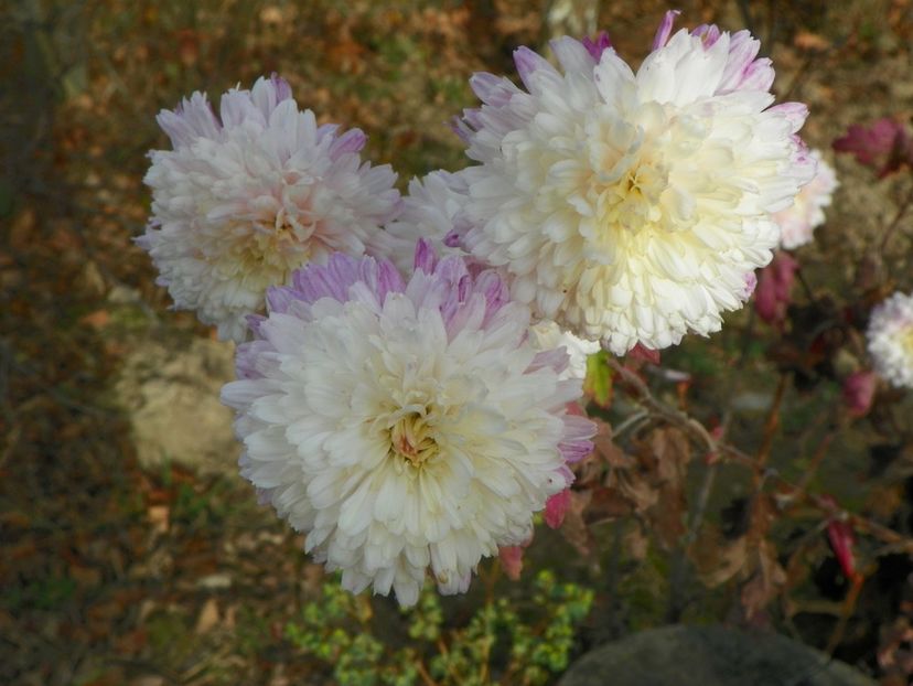 tufanele - Dobarland 2019 4