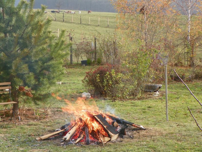 16 nov (19) - Dobarland 2019 4