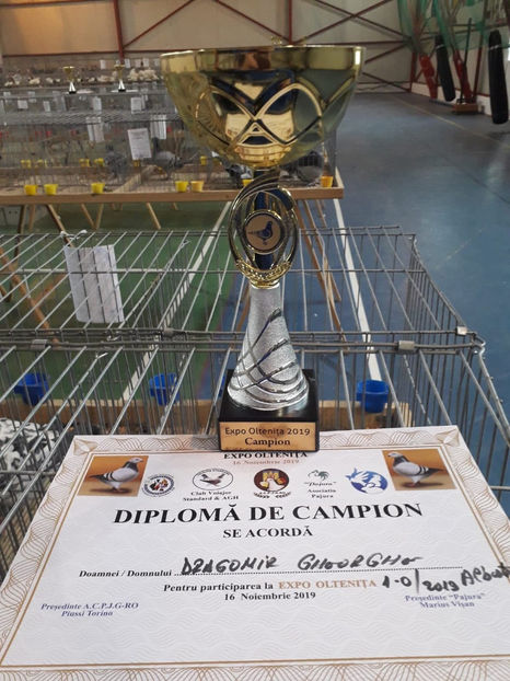  - Expo Oltenita 2019