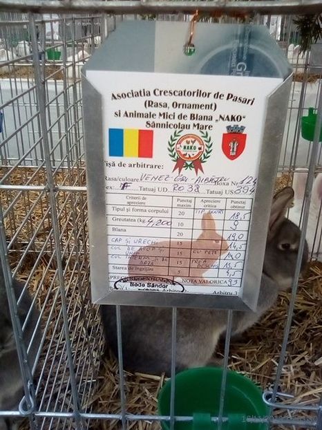 WhatsApp Image 2019-11-17 at 8.44.31 AM - 30---expozitie Sannicolau Mare 15 17 11 2019