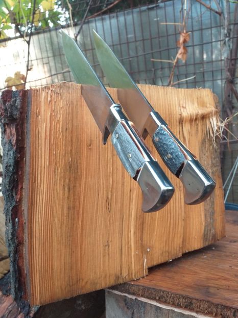  - Cutite pentru carnuit - transat Noimebrie 2019