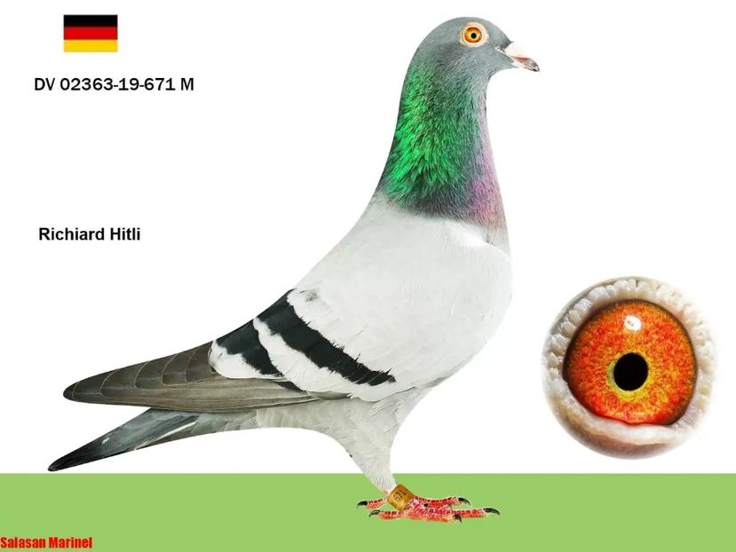 100% vandenabelle - Achizitii 2019