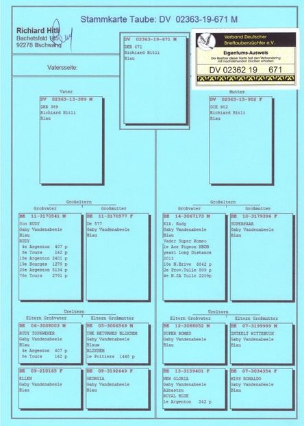 IMG-20191002-WA0022 - Achizitii 2019
