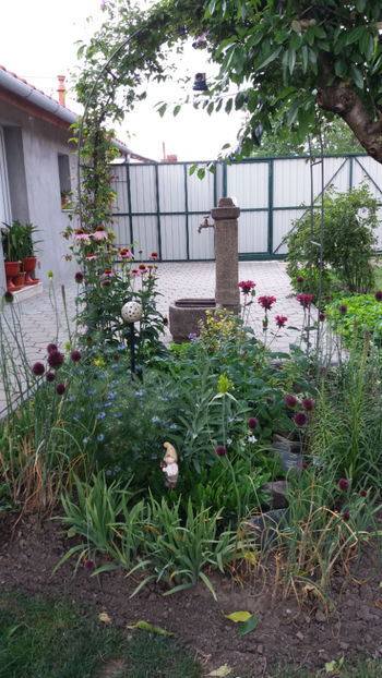  - Gradina si terasa PrimaLuce_1