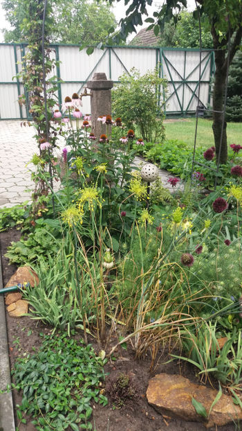  - Gradina si terasa PrimaLuce_1