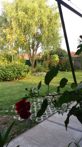  - Gradina si terasa PrimaLuce_1