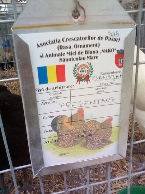 WhatsApp Image 2019-11-17 at 8.46.30 AM (2) - 30---expozitie Sannicolau Mare 15 17 11 2019