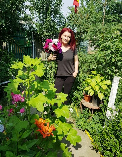  - LA MAMA SILA SI TATA GOGULICA