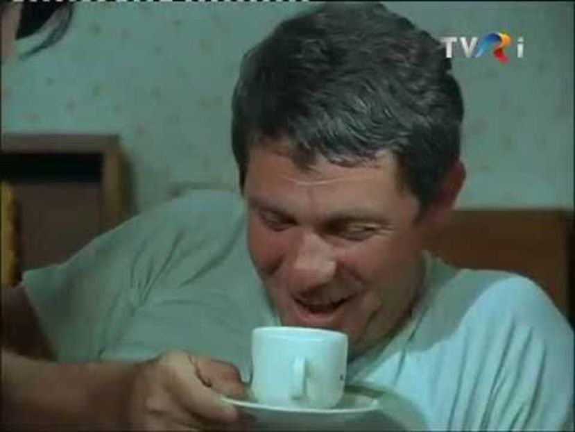 Sosesc Pasarile Calatoare - Sosesc Pasarile Calatoare 1984