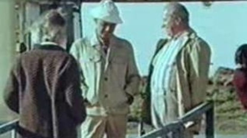 Sosesc Pasarile Calatoare - Sosesc Pasarile Calatoare 1984