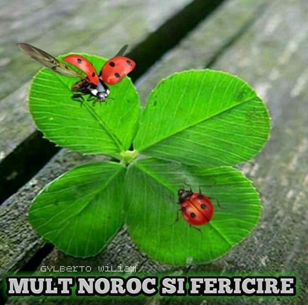 Cronica Carcotasilor - Cronica Carcotasilor Part 2