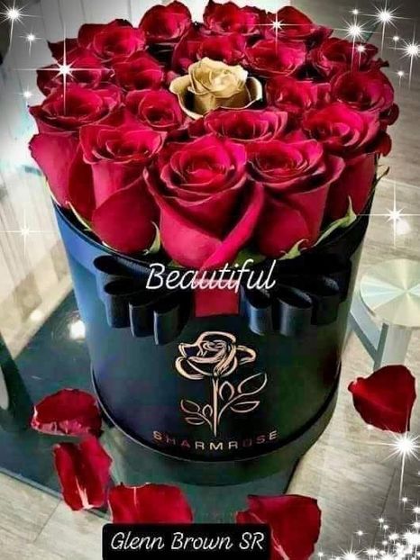 Cronica Carcotasilor - Cronica Carcotasilor Part 2