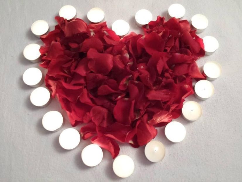 Cronica Carcotasilor - Cronica Carcotasilor Part 2