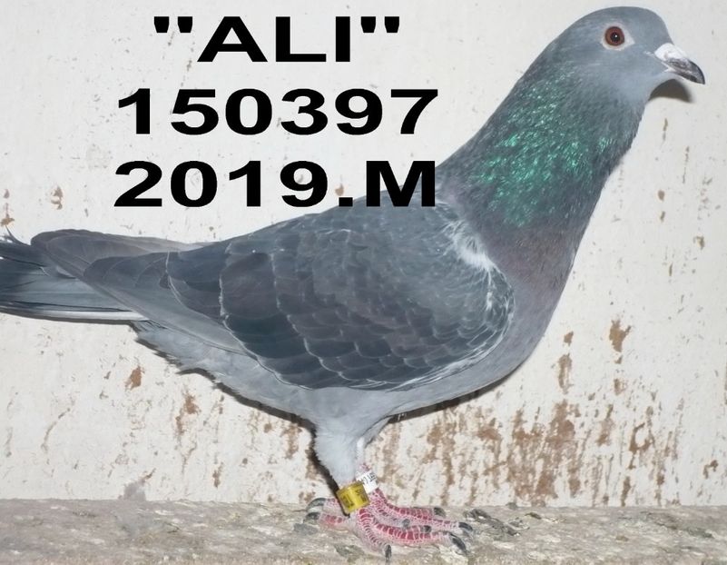 .2019.150397 - 2 MATCA 2020
