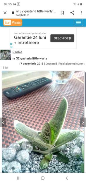 Screenshot_20191121-095540_Chrome - Caro