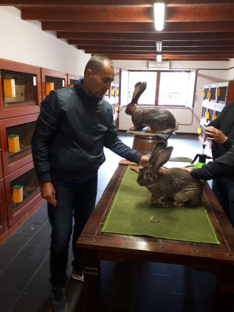  - IN VIZITA LA ŚANDOR BEDA - UNGARIA- CRESCATOR DE UGG SI BERBEC PITIC