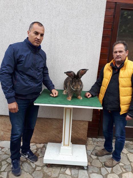  - IN VIZITA LA SORIN DOGAR- UGG