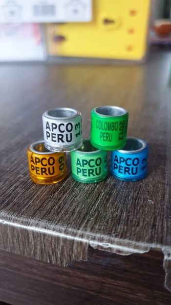 Peru - America de sud