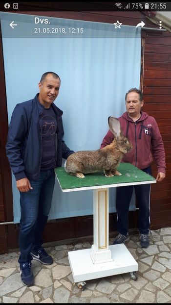 Screenshot_20191122-215514_WhatsApp - IN VIZITA LA SORIN DOGAR- UGG