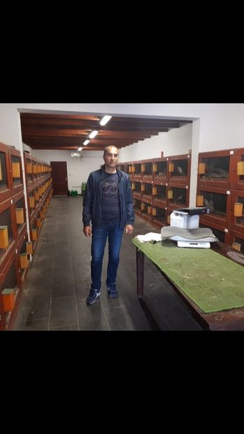 Screenshot_20191122-215710_WhatsApp - IN VIZITA LA ŚANDOR BEDA - UNGARIA- CRESCATOR DE UGG SI BERBEC PITIC